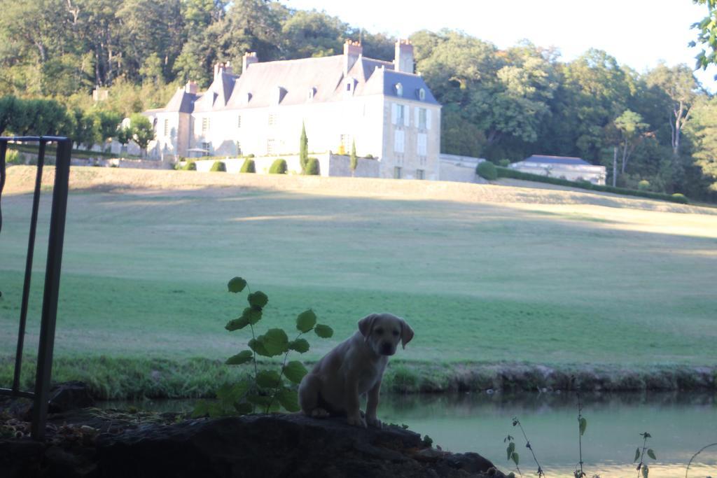 Chateau D'Hodebert Saint-Paterne-Racan Exterior foto